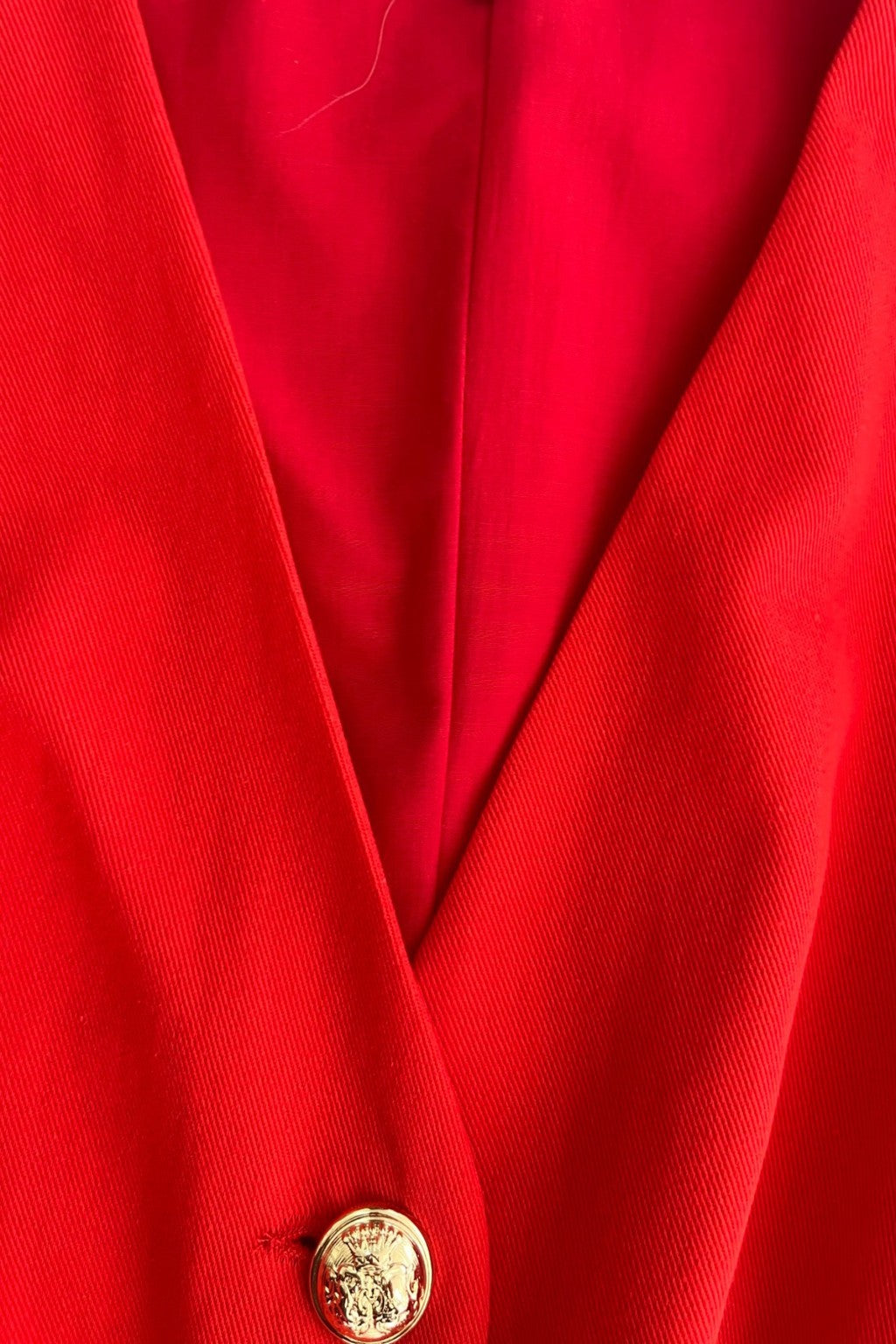 Scarlet Muse dress
